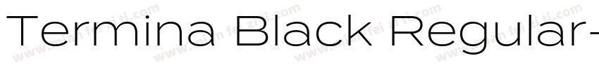 Termina Black Regular字体转换